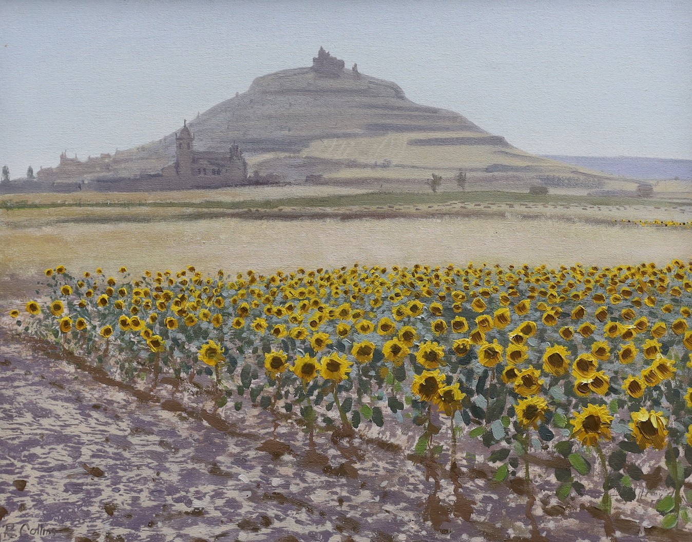 Robert Collins (b.1952), oil on canvas, Sunflowers at Castrogerez, signed and dated 1990